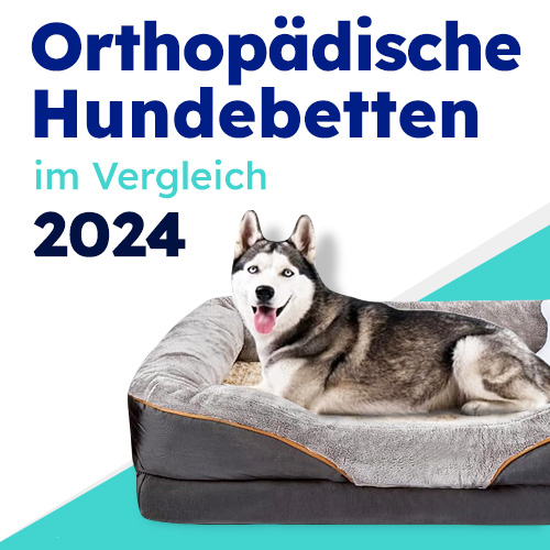 Orthopädische Hundebetten im Vergleich 2024