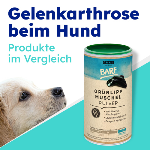 Grünlippmuschelpulver bei Arthrose beim Hund Kaufempfehlungen