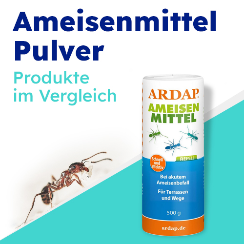 Effektive Ameisenbekämpfung mit Ameisenpulver - Produkte im Vergleich