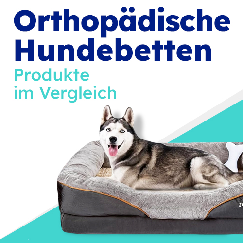 Testbericht: Die besten orthopädischen Hundebetten im Vergleich